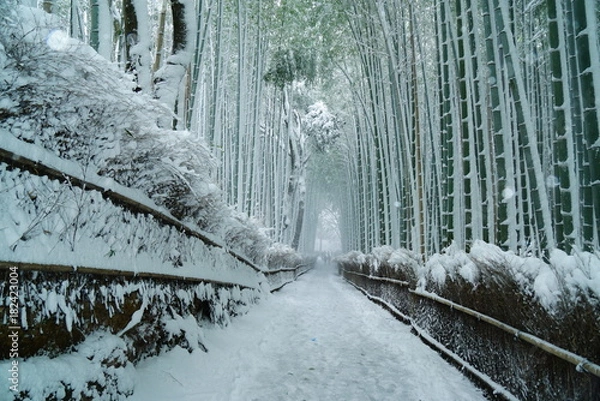 Obraz 京都嵐山竹林の雪景色