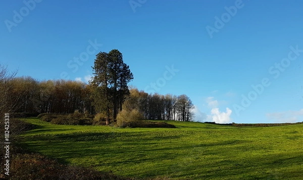 Obraz Couleur d'automne