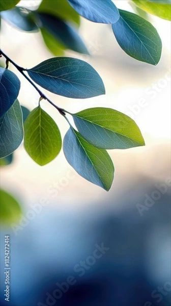 Fototapeta Close-up of green and blue leaves on a branch, with a soft, out-of-focus background in shades of blue and white. Natural light.