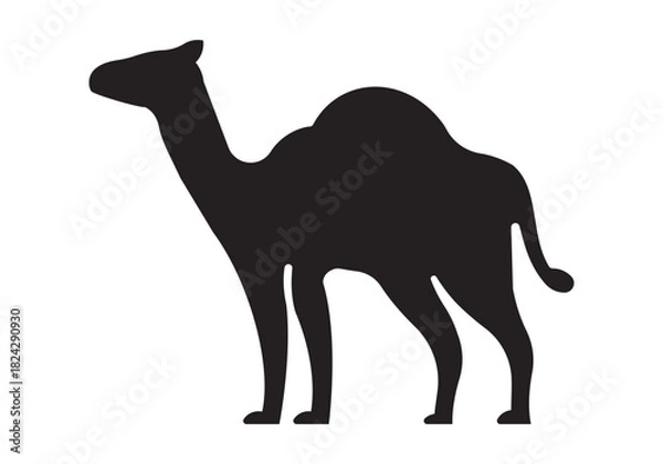 Obraz camel vector illustration
