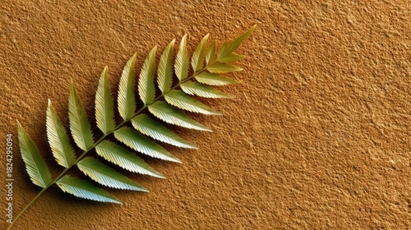 Fototapeta A single green fern frond rests diagonally on a textured, sandy brown surface, with soft natural light highlighting the leaf's delicate veins.