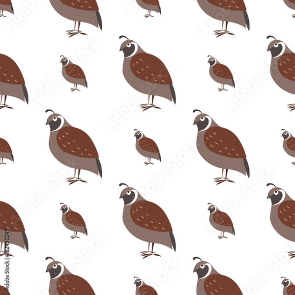 Fototapeta Cartoon Quail Seamless Pattern on White Vector