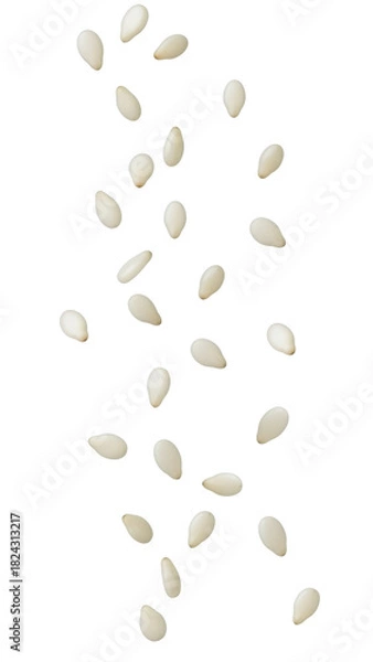 Obraz Falling sesame seeds isolated on transparent background