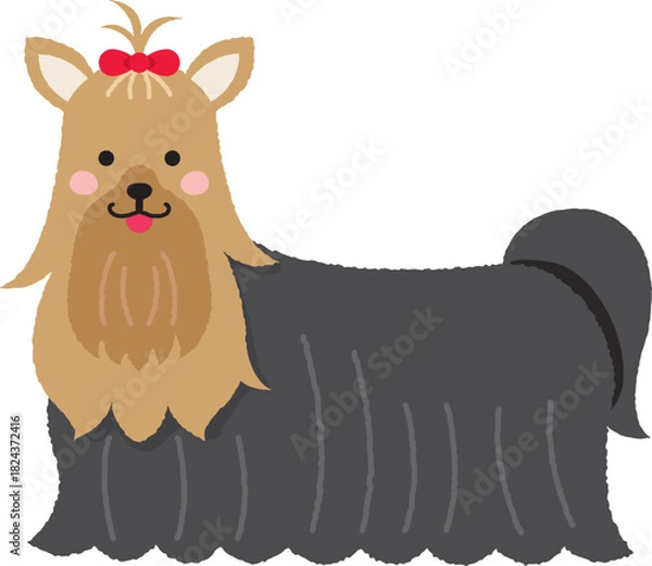 Obraz 赤いリボンのヨークシャテリア