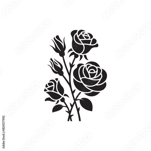 Fototapeta black rose vector illustration. vector eps 10