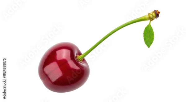 Obraz Ripe red cherry isolated PNG on transparent background, fresh fruit with stem and leaf for healthy eating and summer designs