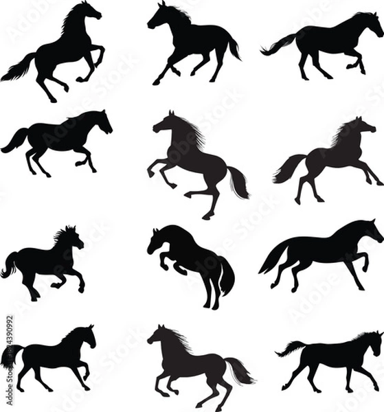 Obraz Horse silhouette vector design 