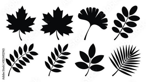 Fototapeta Set of various leaf silhouettes diverse botanical vector illustrations isolated on a white background for design elements