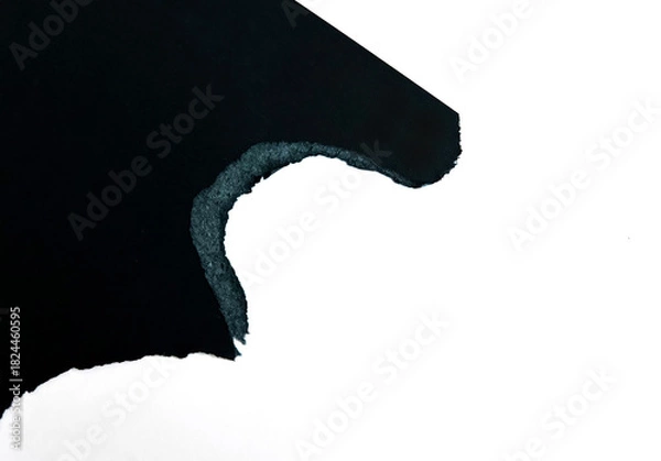 Obraz Black Torn Paper Edge Texture on White Background