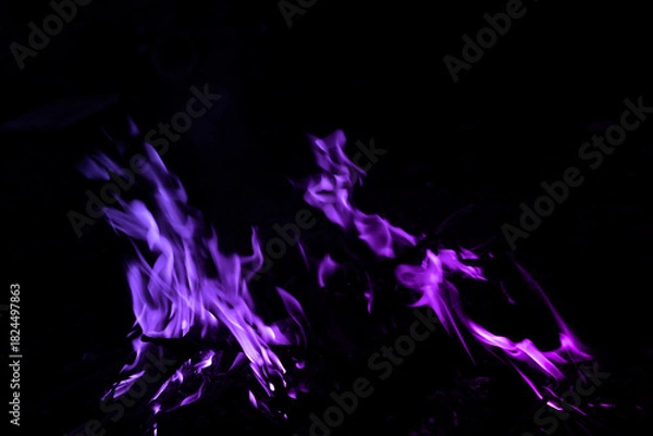 Obraz Vibrant Purple Flames Dancing in Dark Background at Night