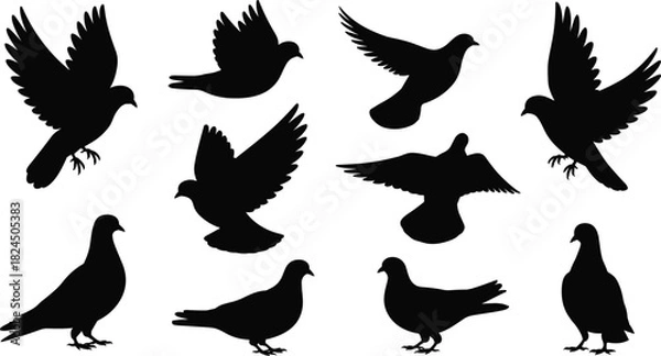 Obraz Pigeon silhouette vector set, flying dove collection, black bird icons, peace symbol, wings spreading, urban nature design element isolated.