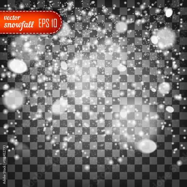 Obraz Falling snow isolated on the a transparent background.