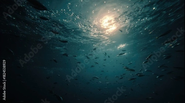 Fototapeta Underwater Scene with School of Fish and Sunlight Streaming Through Ocean Surface