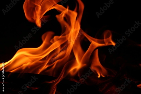 Obraz fire