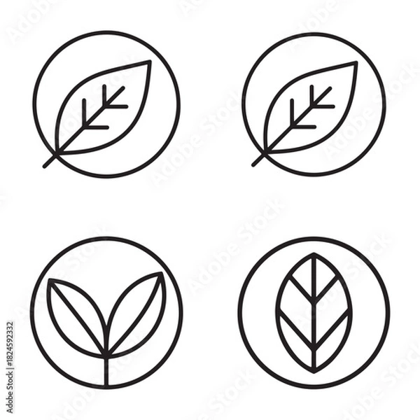 Obraz Minimalist leaf and circle emblem outline set silhouette