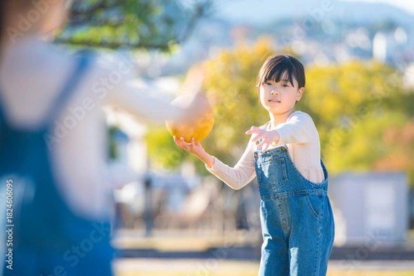 Obraz 公園でドッジボールをして遊ぶ元気な女の子