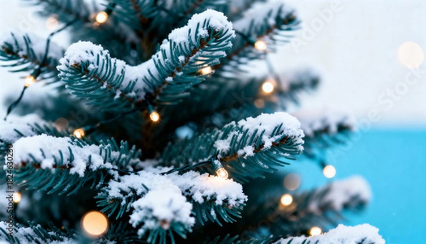 Fototapeta Snow-covered pine branch with warm Christmas lights