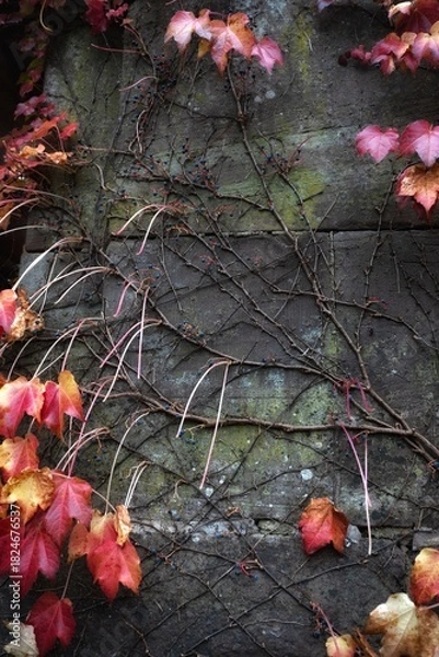 Obraz autumn leaves on the wall