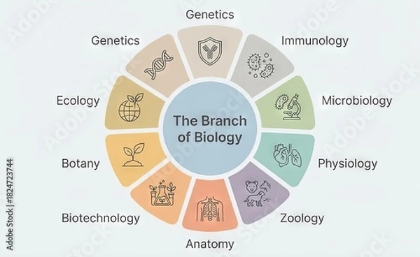 Fototapeta Major Fields of Biological Science Diagram