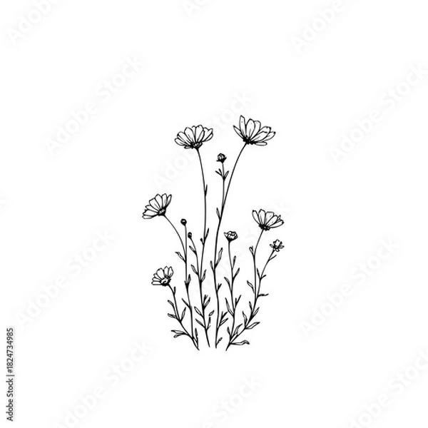 Fototapeta Solid black background providing a minimalist and versatile aesthetic for various design projects and overlays