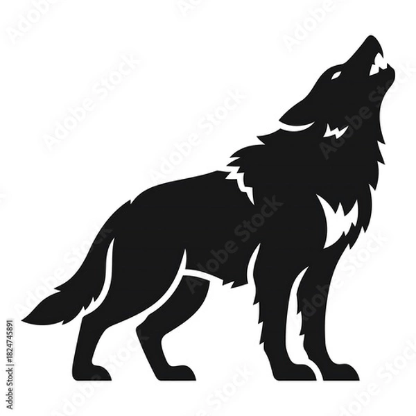 Fototapeta Black silhouette of a wolf howling with mouth open and teeth bared white
