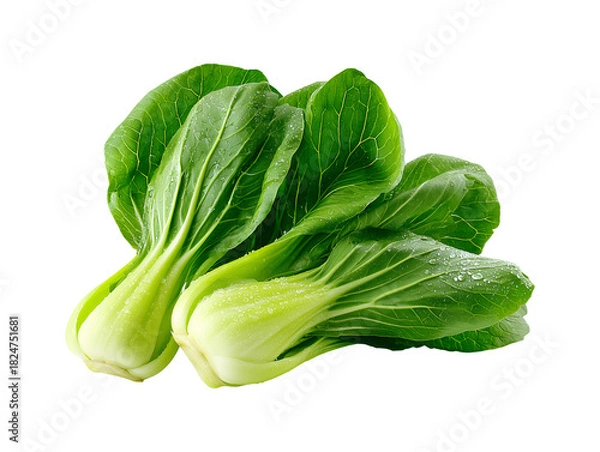 Fototapeta Fresh bok choy or pak choi vegetable isolated on transparent or white background, png