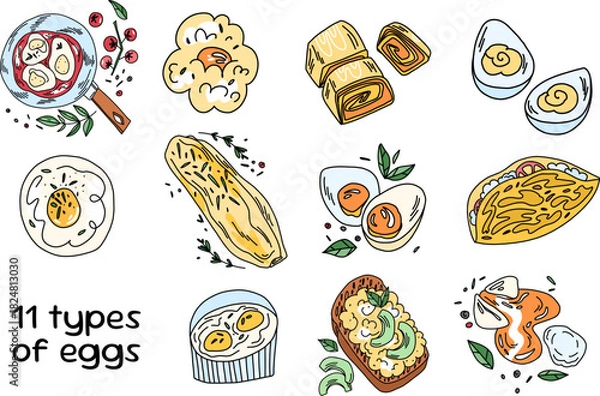 Obraz A large selection of eggs prepared in various ways. Fried eggs, omelettes, and boiled eggs