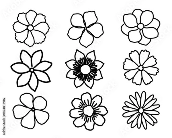 Fototapeta Set of hand drawn black line art doodles flowers isolated on transparent background. 