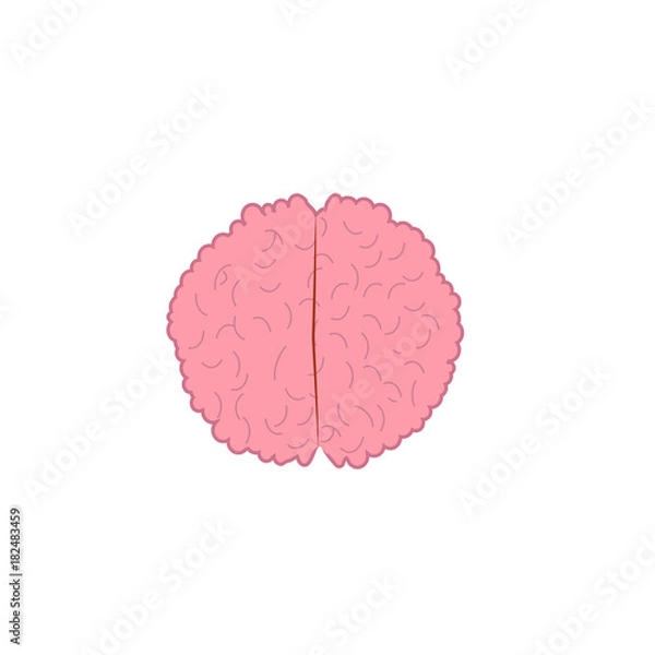 Obraz braian vector illustration