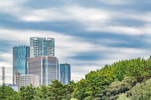 Fototapeta 都会のビルと木々