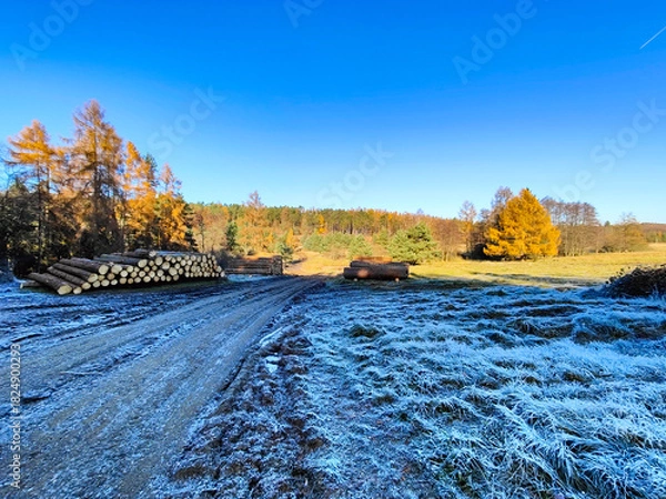 Obraz A field covered in frost with a pile of logs in the foreground