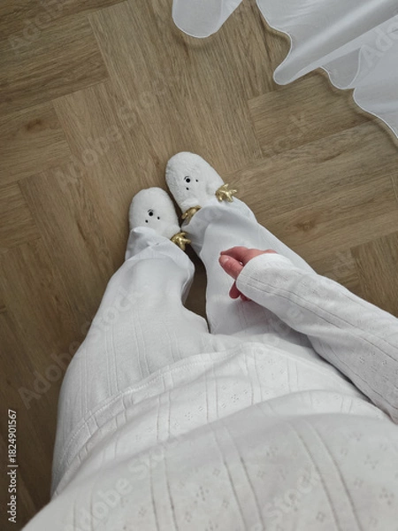 Fototapeta winter is here