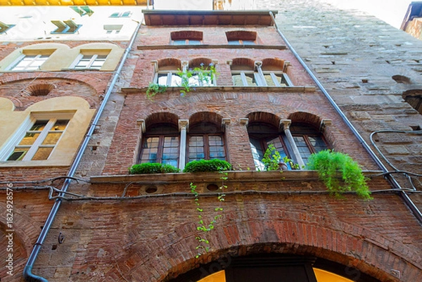 Obraz Old Brick Building With Ivy And Arched Windows On Narrow European City Street