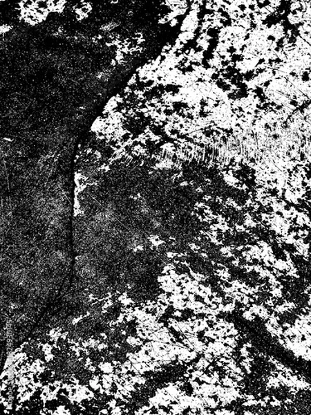 Obraz Transparent textures black and white