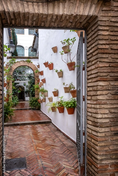 Obraz Old typical narrow street in Cordoba with old buildings with white walls decorated with colorful flower pots