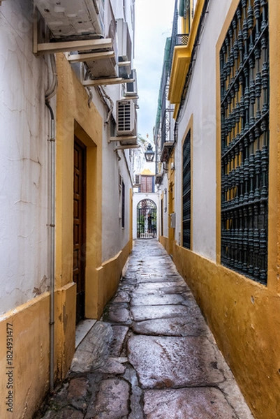 Obraz Old typical narrow street in Cordoba with old buildings with white walls decorated with colorful flower pots