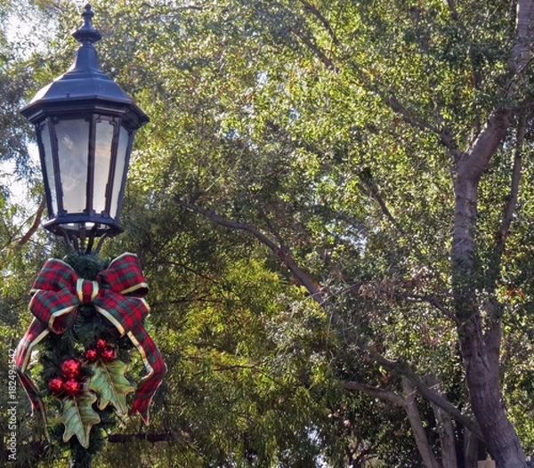 Obraz A Lamppost Christmas Wreath with a Forest Background