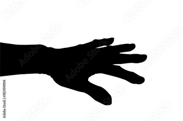 Obraz The shadow left hand  isolated on white background with clipping path.
