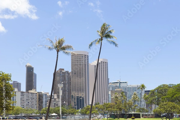 Fototapeta アラモアナビーチパーク