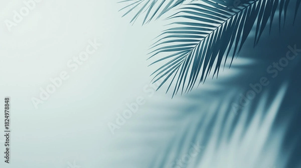 Obraz Palm leaf shadow on light blue background
