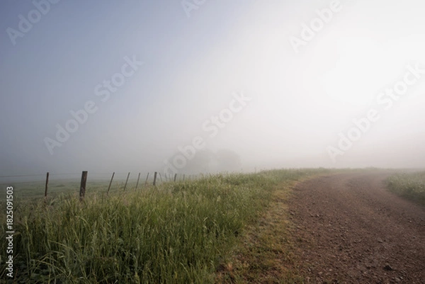 Fototapeta A foggy morning with a fence in the background