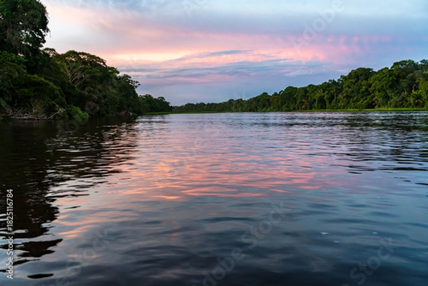Fototapeta Sunset with a tour boat sailing along the canals in the Tortuguero National Park of Costa Rica