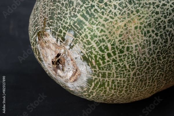 Obraz rotten and moldy hami on black