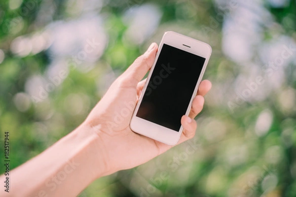 Obraz Hand holding phone