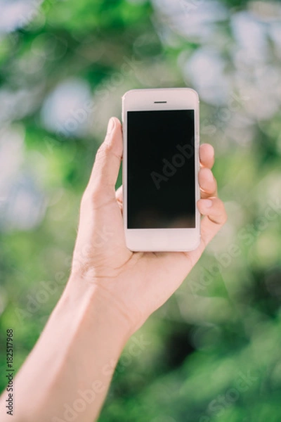 Obraz Hand holding phone