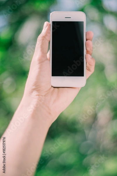Obraz Hand holding phone