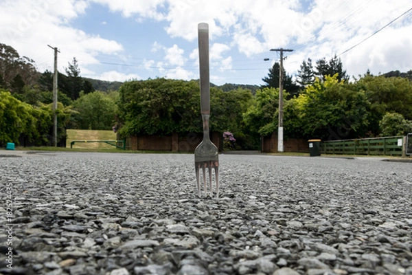 Fototapeta Literal Fork In The Road 