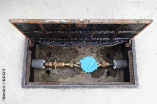 Fototapeta 水道の量水器