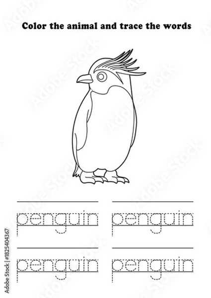 Fototapeta Learning Worksheet Rockhopper Penguin Coloring Tracing