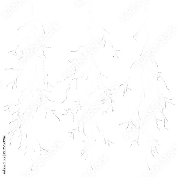 Fototapeta Three bright white lightning bolts striking down with intricate branching patterns isolated on transparent background